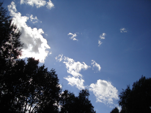 26954 (a): :1024x768